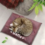 Chat câlin sur un coussin maroon, ambiance chaleureuse et réconfortante à la maison.