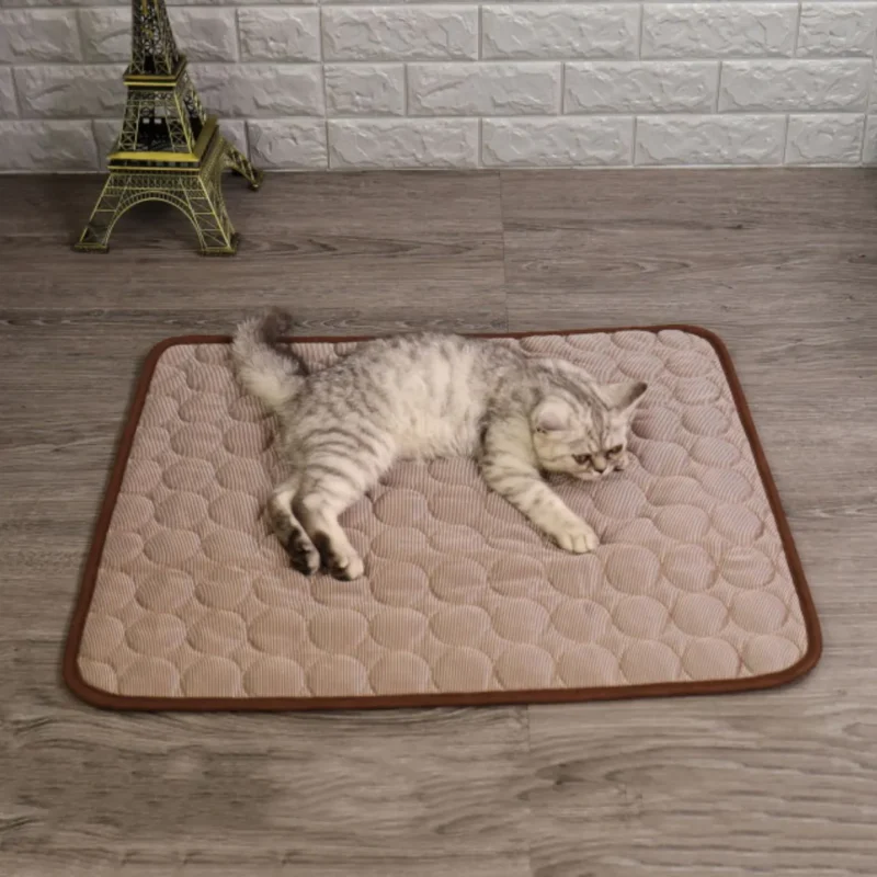 Chat détendu sur un tapis beige, avec une touche décorative de la Tour Eiffel.