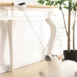 Un chat blanc joue avec un jouet interactif, captivé et curieux dans un décor minimaliste.