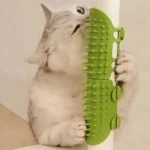 Un chat gris samuse avec un peigne vert texturé, illustrant sa curiosité et son jeu.