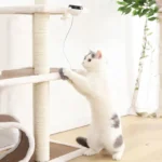 Chat blanc et gris jouant avec un arbre à chat interactif dans un intérieur lumineux.