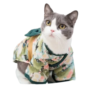 Chat en kimono floral pastel, adorable et curieux, avec des yeux jaunes perçants.