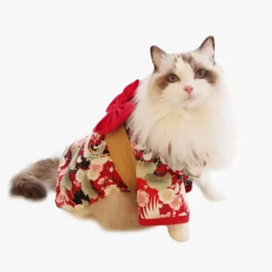 Chat en kimono rouge élégant, mêlant sérénité et curiosité, sur fond blanc.