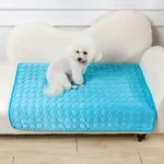 Chien blanc duveteux sur couverture bleue confortable sur un canapé moderne et accueillant.