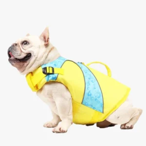 Chien bulldog français heureux en imperméable jaune et bleu, prêt pour la pluie.