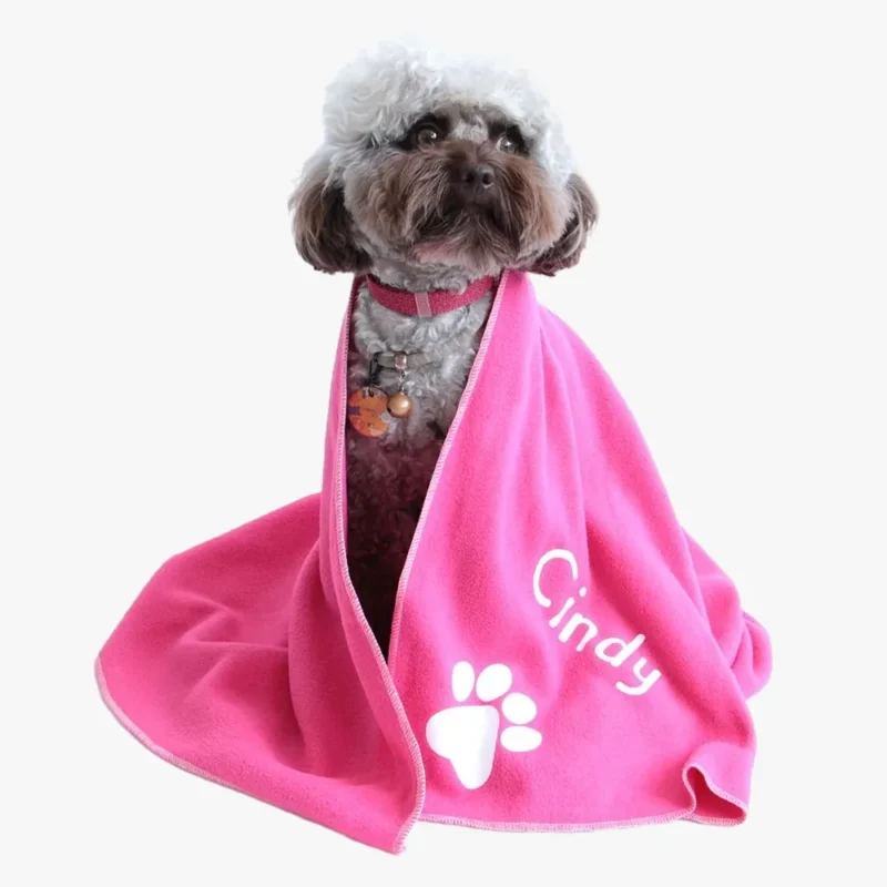 Chien mignon Cindy dans une couverture rose douce, charmant et chaleureux.