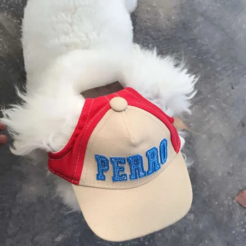 Chien fluffy avec un cap amusant PERRO, une touche de style et de joie.