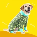 Chien Labrador en pyjama vert avec poissons jaunes, sourire joyeux sur fond jaune.