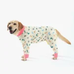 Chien joyeux en pyjama à motifs de dinosaures colorés et col rose.