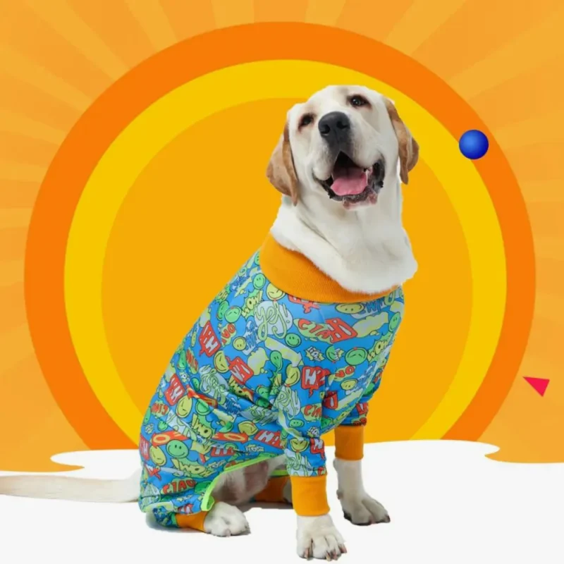 Chien heureux en costume coloré sous un soleil radieux, plein de joie et de vie.