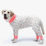 Un chien heureux en pyjama coloré, alliant confort, style et personnalité pétillante.