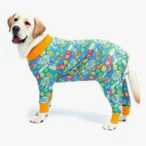 Chien joyeux en pyjama coloré, Labrador Retriever, affichant une personnalité amicale et pétillante.