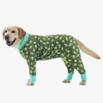 Chien Labrador joyeux en costume vert avec accents aqua, adorable et confortable.