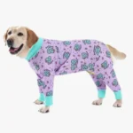 Chien Labrador heureux en pyjama lavande coloré, charmant et joueur.