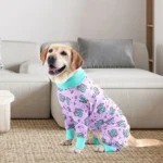 Labrador joyeux en pyjama lavande, détendu dans un salon moderne et cosy.