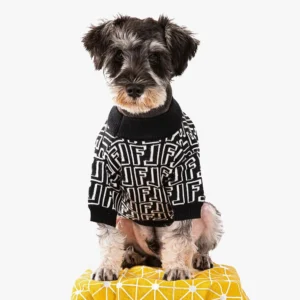 Chien mignon en pull noir sur coussin jaune, alliant style et confort.