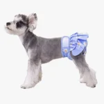 Chien miniature schnauzer en robe bleue à fleurs, mignon et élégant, prêt pour une sortie.