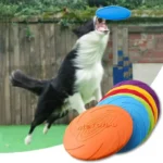 Un border collie en plein saut pour attraper un frisbee dans un champ verdoyant.