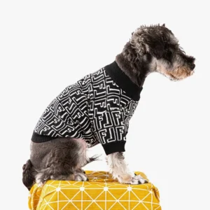 Chien scruffy en pull géométrique sur coussin jaune, un mélange de style et de charme.