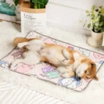 Un Shiba Inu détendu sur un tapis coloré, incarne le bonheur des animaux de compagnie.