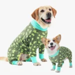 Chiens adorables en pyjamas assortis avec motifs doctopus, moments de bonheur canin.