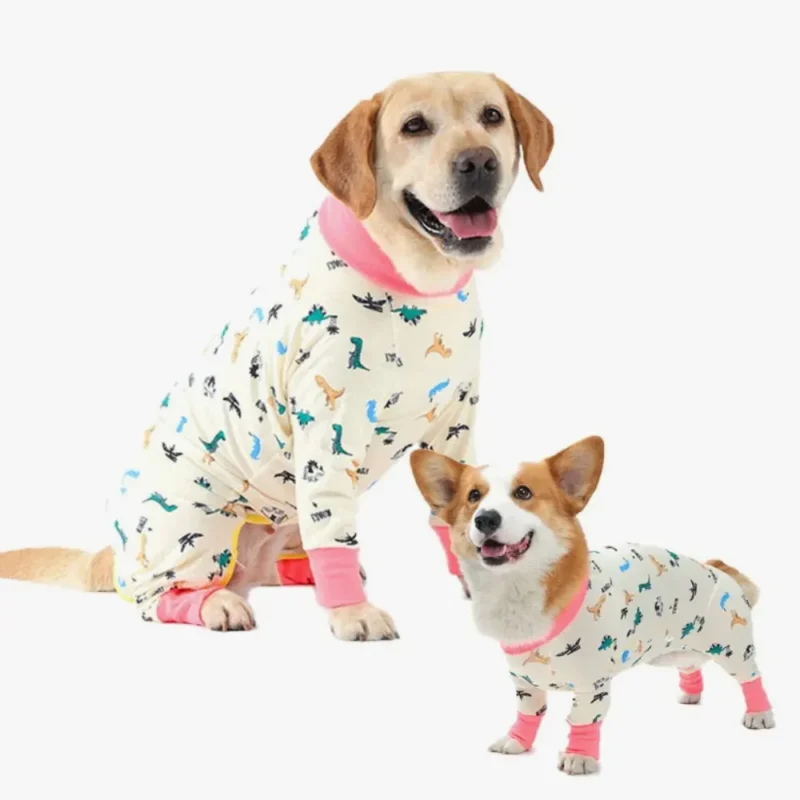 Chiens adorables en pyjamas assortis, Labrador et Corgi, partageant un moment joyeux ensemble.