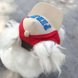 Chien fluffy blanc avec chapeau rouge et bleu, adorable et amusant en plein air.