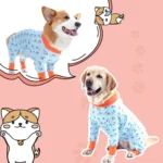 Chiens en pyjamas assortis, un corgi joyeux et un labrador détendu, ambiance ludique.