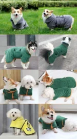 Chiens joyeux en vêtements colorés, célébrant le style et la personnalité canine.