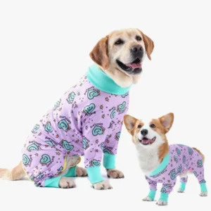 Chiens mignons en pyjamas violets, reflet de joie et damitié.