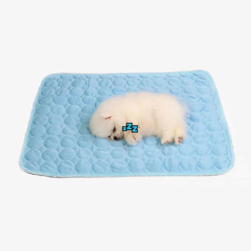 Charming chiot blanc dormant paisiblement sur un tapis bleu doux, rayonnant de tranquillité.