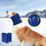 Corgi en hiver avec un col roulé bleu pour chiens, prêt pour laventure neigeuse.