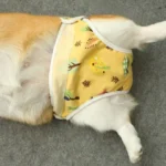 Corgi détendu en pantalon jaune, moment adorable sur un doux revêtement intérieur.