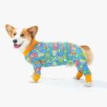 Corgi joyeux en pyjama coloré, adorable et ludique, prêt pour des moments de confort.