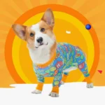 Corgi joyeux en pyjama coloré sous un soleil radieux, une scène adorable et ludique.