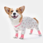 Corgi joyeux en costume à motifs de flamants, adorable et tendance, prêt à samuser.