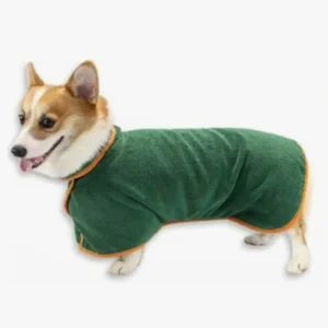 Corgi joyeux en manteau vert avec bordure orange, prêt pour laventure et le confort.