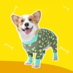 Corgi joyeux en pyjama vert avec motifs de fantômes sur fond jaune éclatant.