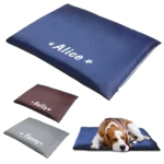 Couchages pour chiens personnalisés : Alice, Bella et Tommy, confort et style modernes.