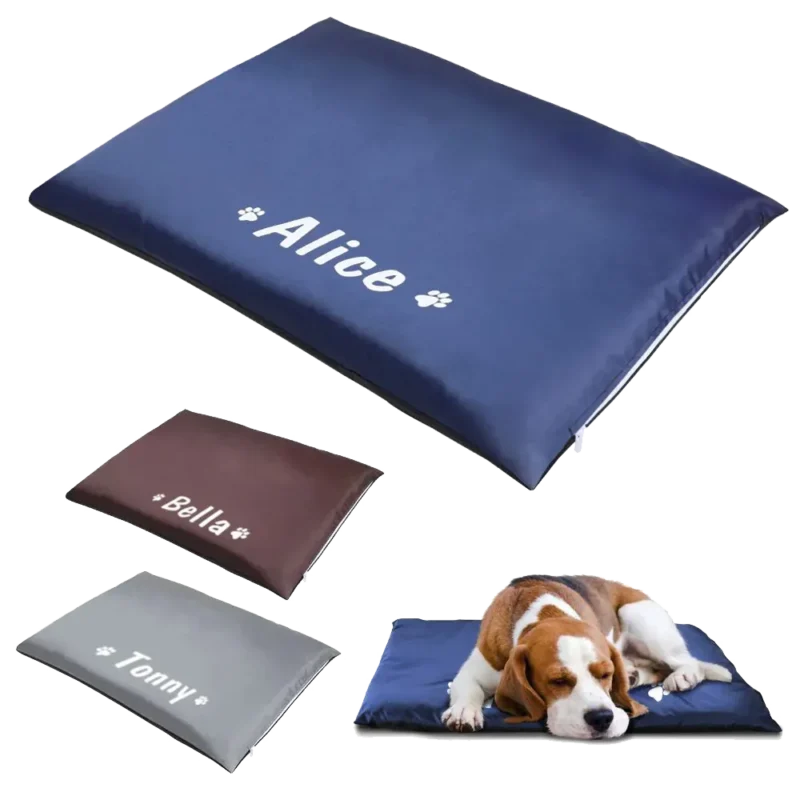 Couchages pour chiens personnalisés : Alice, Bella et Tommy, confort et style modernes.