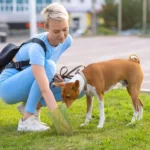 Femme active avec son Basenji dans un parc urbain, profitant dun moment de complicité.