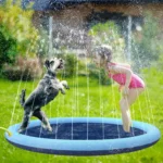 Jeune fille et chien samusent joyeusement dans un splash pad en été.