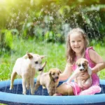 Fille joyeuse avec des chiots jouant sous un spray deau ensoleillé.