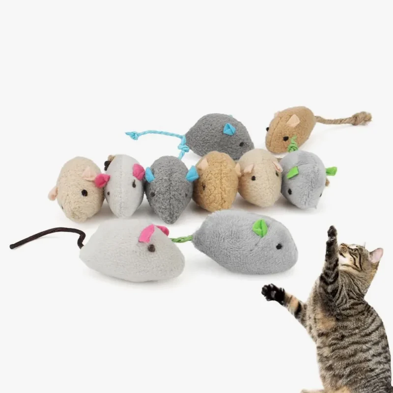 Chat joueur avec des souris en peluche colorées, parfait pour léveil félin.