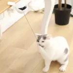 Chat blanc curieux jouant avec un jouet interactif au design moderne.