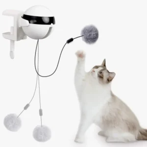 jouet interactif chat pompons