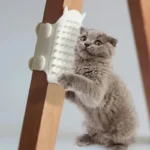 Un adorable chaton gris joue en grattant une surface blanche sur un meuble.