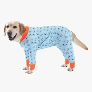 Labrador joyeux en combinaisons bleue à motifs, prêt pour des aventures confortables.