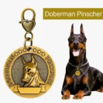 Médaillon décoratif pour Doberman Pinscher, avec illustration et inscription en bronze antique.