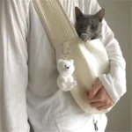 Personne avec un chat gris dans un sac à main stylé et moderne.